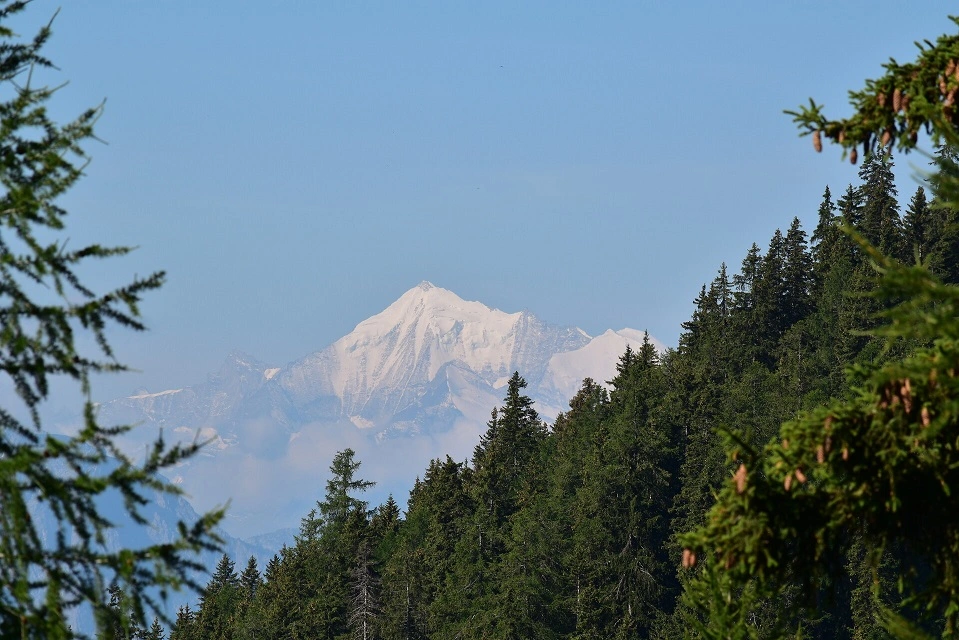 Weisshorn